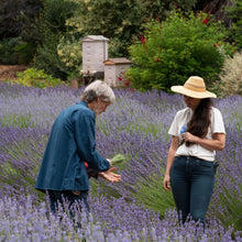 Load image into Gallery viewer, LAVENDER HYDROSOL
